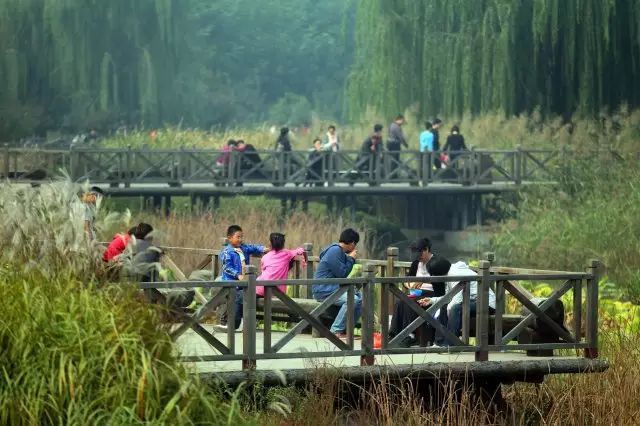 北京众多公园养成记