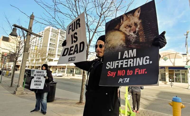 PETA组织的示威人员举起他们的口号和标语