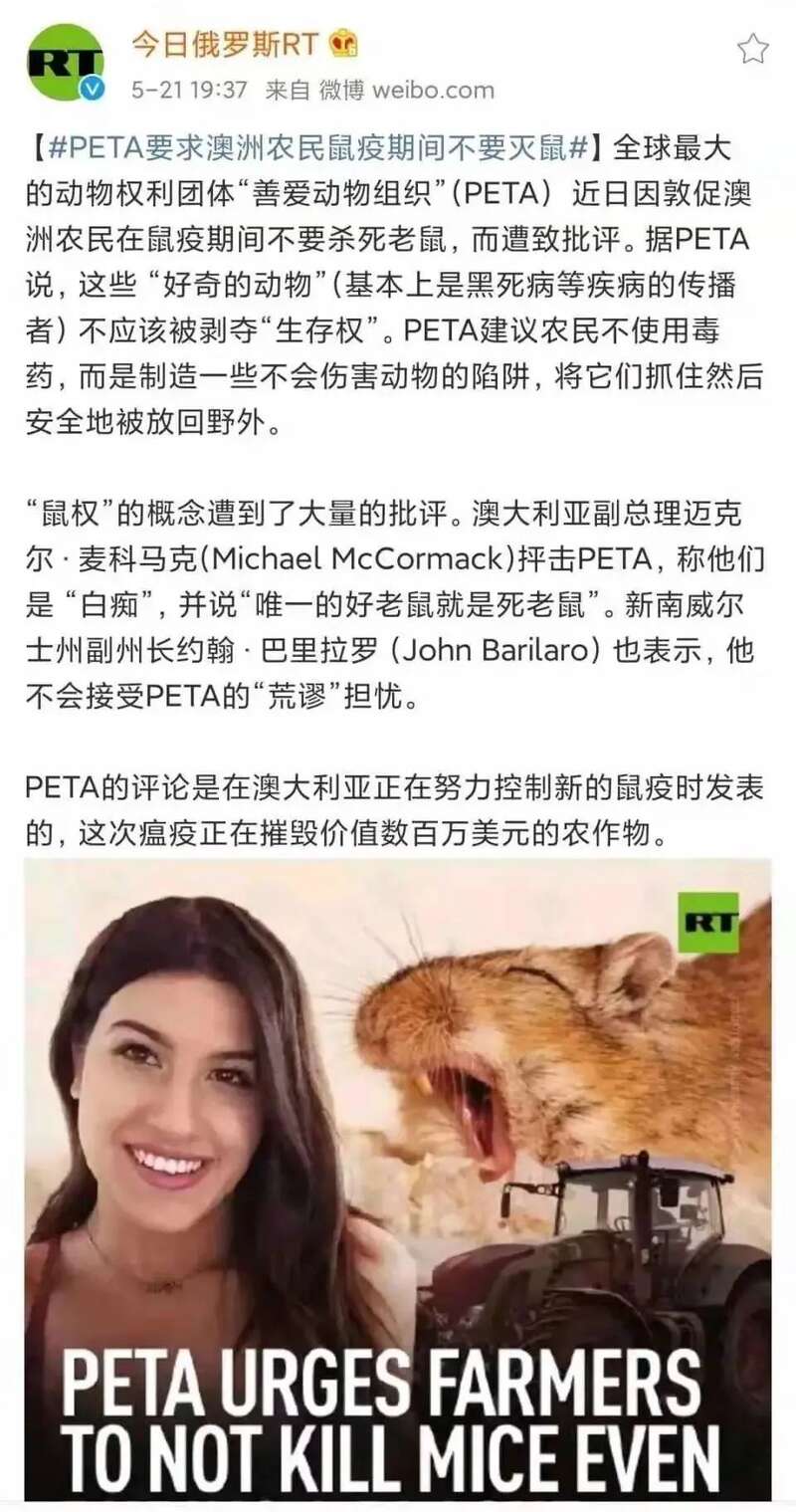 PETA呼吁澳大利亚农民在鼠疫期间不要杀死老鼠