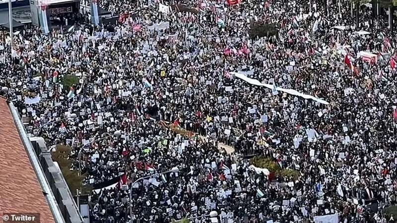 华盛顿超10万人集会,抗议拜登支持以色列